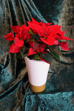 Lade das Bild in den Galerie-Viewer, Beton Vase