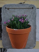 Lade das Bild in den Galerie-Viewer, Bepflanzbare Betondekoplatten