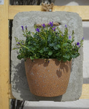 Lade das Bild in den Galerie-Viewer, Bepflanzbare Betondekoplatten