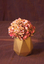 Lade das Bild in den Galerie-Viewer, Beton Deko Vase