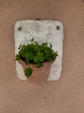 Lade das Bild in den Galerie-Viewer, Bepflanzbare Betondekoplatten mit Weidenkörbchen