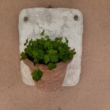 Lade das Bild in den Galerie-Viewer, Bepflanzbare Betondekoplatten