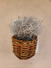 Lade das Bild in den Galerie-Viewer, Bepflanzbare Betondekoplatten mit Weidenkörbchen