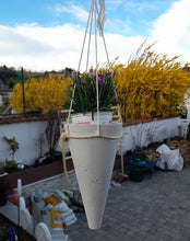 Lade das Bild in den Galerie-Viewer, Hängende Blumenampel
