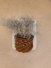 Lade das Bild in den Galerie-Viewer, Bepflanzbare Betondekoplatten mit Weidenkörbchen

